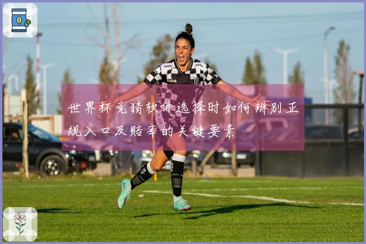世界杯竞猜软件选择时如何辨别正规入口及赔率的关键要素