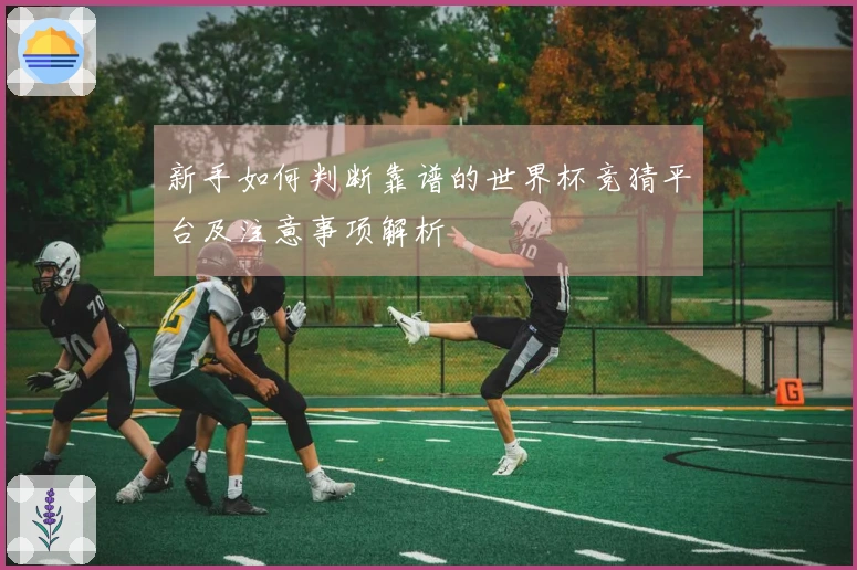 新手如何判断靠谱的世界杯竞猜平台及注意事项解析
