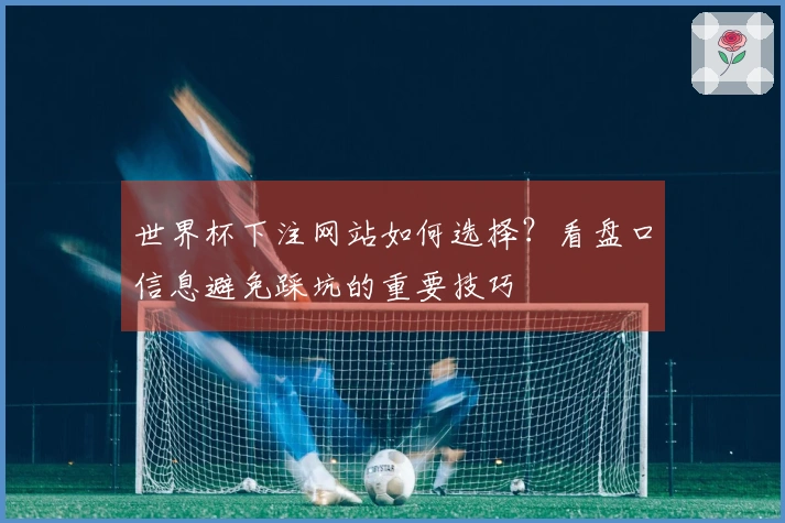 世界杯下注网站如何选择？看盘口信息避免踩坑的重要技巧
