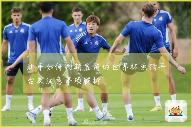 新手如何判断靠谱的世界杯竞猜平台及注意事项解析