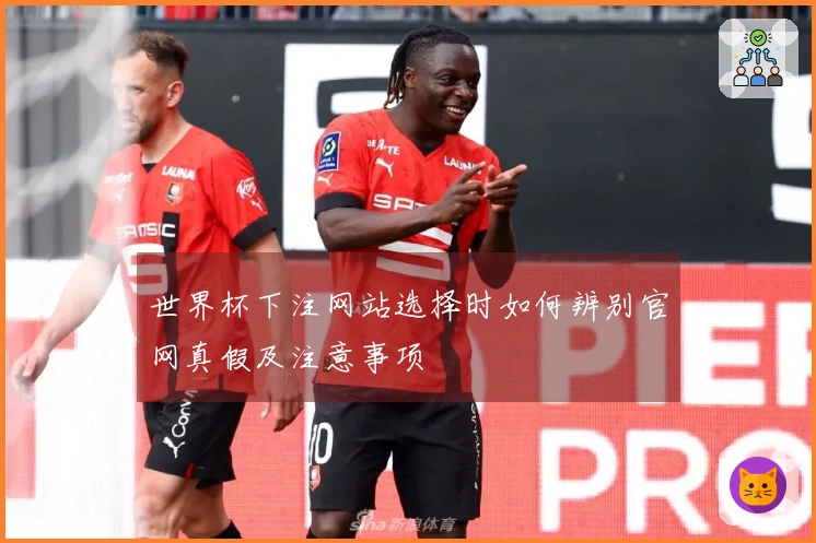 世界杯下注网站选择时如何辨别官网真假及注意事项